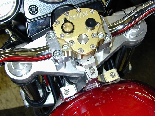 Suz SV 650 1999-02 Damper